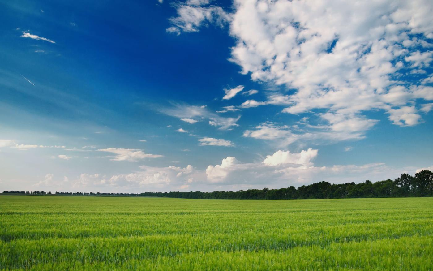 &Aacute;rea de pastagem verde sob c&eacute;u azul